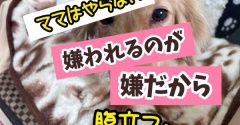 コイツはごまかせない。