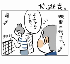 犬、逃走。