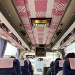 シニア夫婦のフラフラ、あれこれ