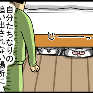 まめきちまめこニートの日常