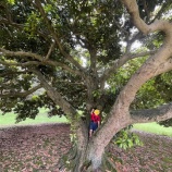 『【徒然写真館】No.168　ただのその辺の公園』の画像