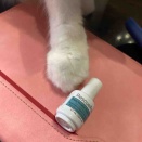 爪にヒビ