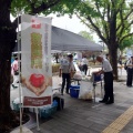 8月15日 靖国神社周辺 奉仕・救護活動のお知らせ