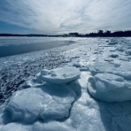 アメリカ🇺🇸で主婦ライフ