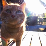 Photo by YO-RI　｢日々雑食」 ～館山・南房総～