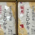 ゴマちゃんの初心者でもできる株主優待  マイ日記