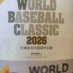 世界の野球