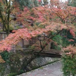 意識改革最前線の日々