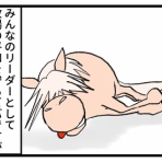 今日もうちのウマコが騒いでる