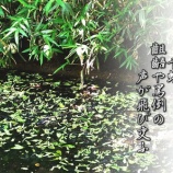 『敗軍の将、兵を語らずして退くのが男の美学』の画像