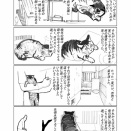 亡くなった猫の話
