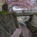 恵美の英語教室社長日記 ＋ コーチング ＋ α