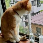 だいじろう日和。