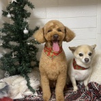 tamariのたまりば