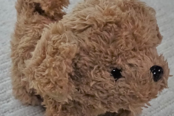 高知おもちゃ病院診療録