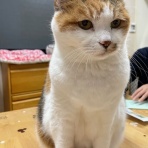 はるだ動物病院