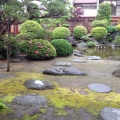 ６月の雨