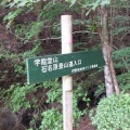 学能堂山の山芍薬とイナモリソウ