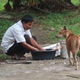 『水祭り 』の画像