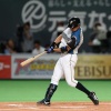 中島卓也さん、タコだった