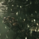 喧嘩して池に飛び込んだのさ