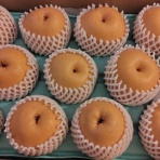 徒然なるままに＠投資＆猫