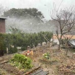 佐渡　移住日記