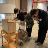 『初詣(❁´ω`❁) 　　』の画像