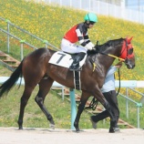 『【移籍馬情報】ホッカイドウ競馬・冬季2歳移籍馬情報 ~Vol.6 笠松編~』の画像