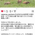 バーニーズのジョンとわんこの里親探し