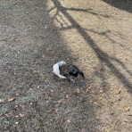 もにっき（旧うにっき）