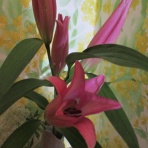 【３０歳以上限定】お悩みブログ小林ジゼルの恋愛スピリチュアル