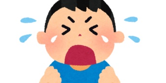 うちの2歳半の息子は話が上手でよく喋るんだけど、イヤイヤ期でよくぐずるから大変。