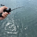ペンタスティックベイトについて