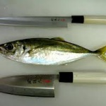 【悲報】東京湾で超巨大アジが釣れる　何が原因？