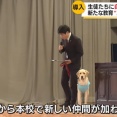 【画像】スクールドッグ🦮を導入した学校、不登校が激減💥