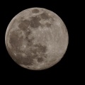 みあげてごらん夜の空を♪