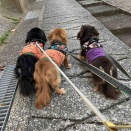 寝落ちママでした。