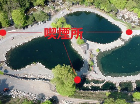 明日2日もトラック放流ありです♩