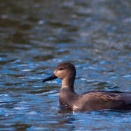 周りは認めてくれているのに、自分だけがそう思えない件