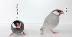 自称とは？