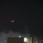 船と花と風景と