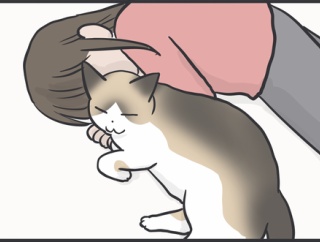 29日はぺーやんの日