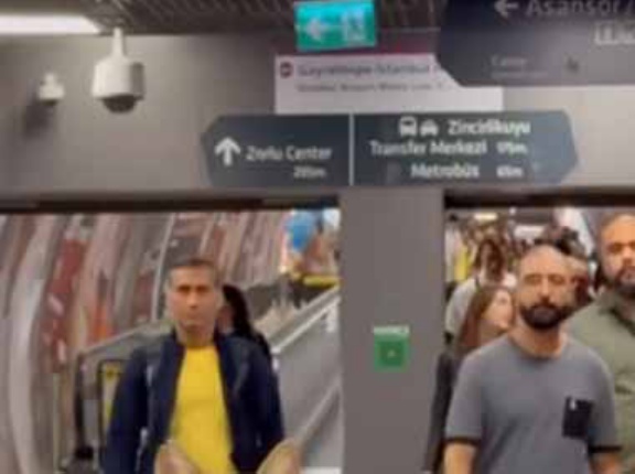 地下鉄の改札にネコの「人形」が置いてあった。よくできてるなぁ → 違いました…