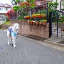 診療無しでも結構疲れました