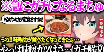 【ホロライブ】愛知県の話が止まらないまちゅ