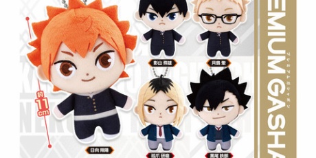 ハイキュー アニメ 漫画 グッズ まとめ売り ハイキュー漫画&グッズまとめ売り（50点以上） Amazon.co.jp