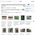落合公園で撮影した生き物の写真