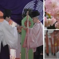 八重桜