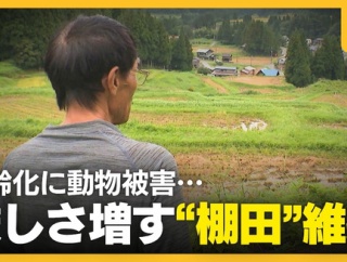 『日本の棚田百選』に選ばれた棚田でも…「コメ作りは今年で最後」高齢化にイノシシ被害…厳しさ増す棚田維持「苦労するから継がせない」